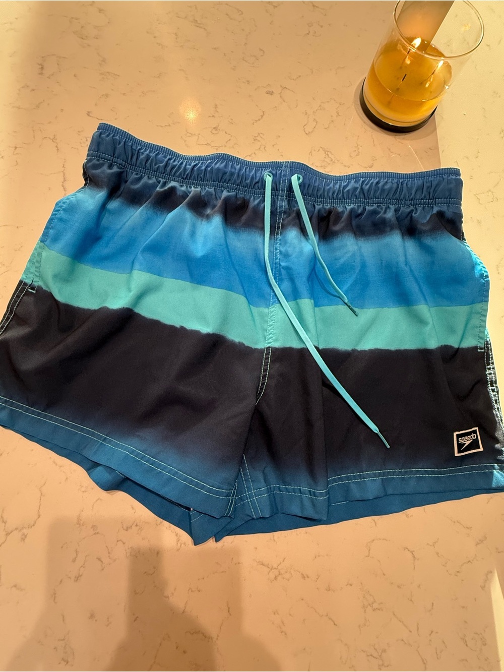 Speedo Men's Multi-Blue Stripe Athletic Swim Shorts